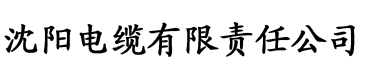 樱桃很黄软件电缆厂logo